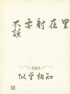 不要射在里面小说