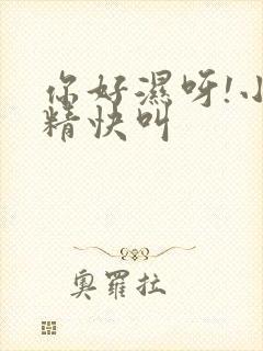 你好湿呀!小妖精快叫