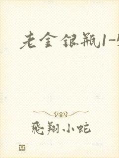 老金银瓶1-5
