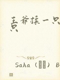 王爷揉一只舔一只