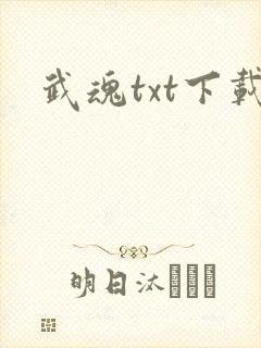 武魂txt下载