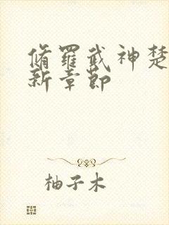 修罗武神楚枫最新章节