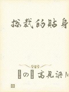 总裁的贴身玩宠