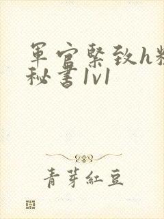 军官紧致h粗大秘书1v1