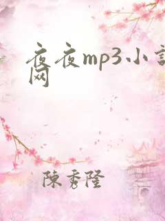 夜夜mp3小说网