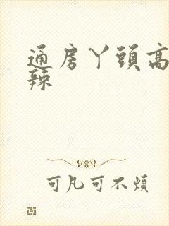 通房丫头高h肉辣