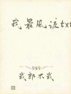 我最风流txt
