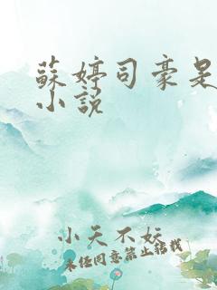 苏婷司豪是什么小说