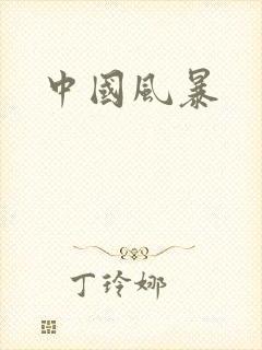 中国风暴