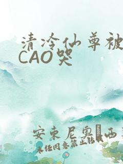 清冷仙尊被强制CAO哭