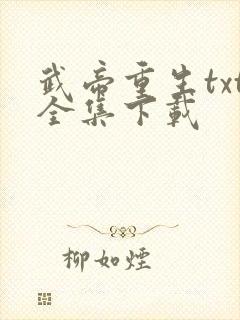 武帝重生txt全集下载