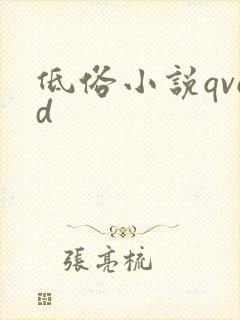 低俗小说qvod