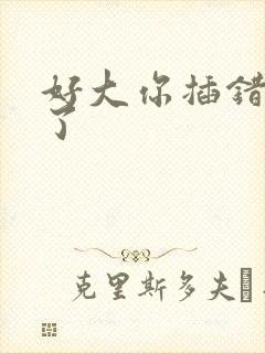 好大你插错地方了