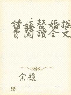 错嫁替婚总裁免费阅读全文