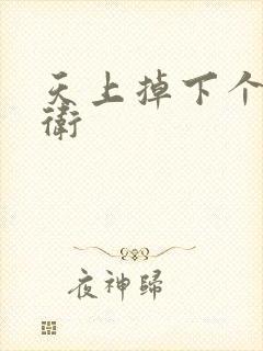 天上掉下个影卫卫