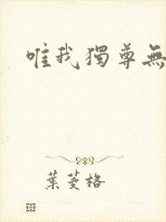 唯我独尊无弹窗