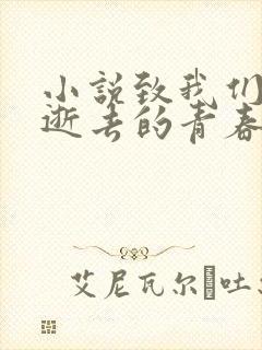 小说致我们终将逝去的青春