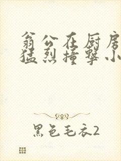 翁公在厨房和我猛烈撞击小说