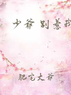 少爷 别惹我