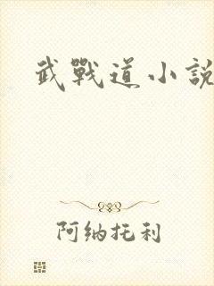 武战道小说