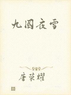 九国夜雪
