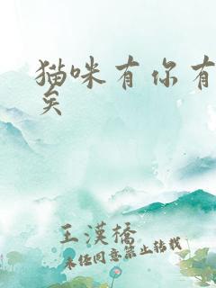 猫咪有你有我足矣