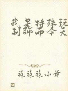 我是特殊玩具定制师而今天的客户