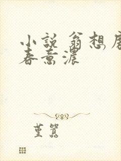 小说 翁想房中春意浓