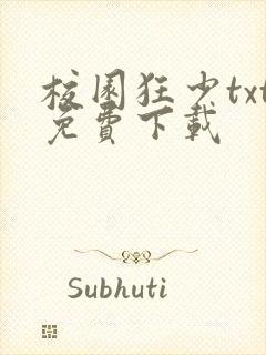 校园狂少txt免费下载