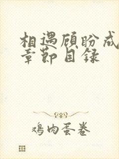 相遇顾盼成欢全章节目录