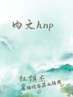 肉文hnp