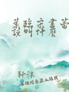 叶临宋书蕾的小说叫什么