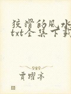 狡猾的风水相师txt全集下载