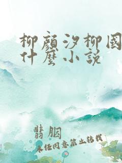 柳颜汐柳国安是什么小说