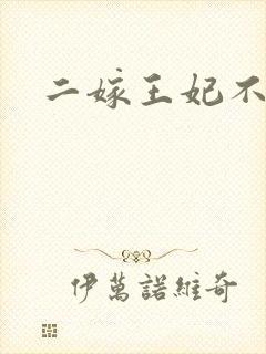 二嫁王妃不好惹