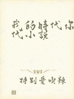 我的时代你的时代小说