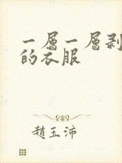 一层一层剥开你的衣服