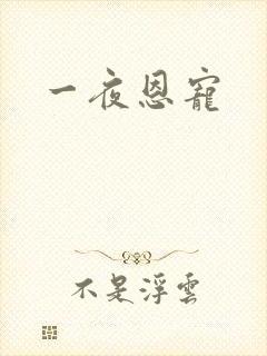 一夜恩宠