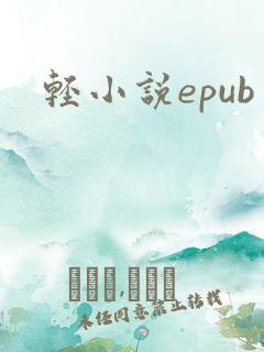轻小说epub