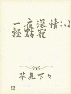 一夜深情:小叔轻点宠