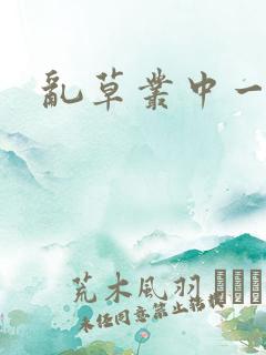 乱草丛中一杆枪