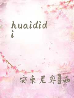 huaididi