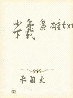 少年枭雄txt下载
