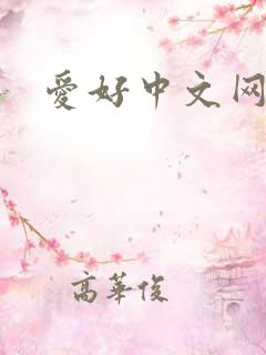 爱好中文网