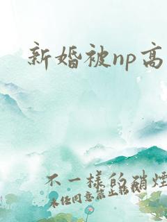 新婚被np高h