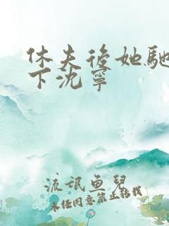 休夫后她驰骋天下沈宁