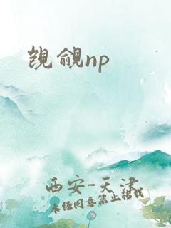 觊觎np