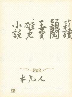 小雄王颖莉的小说免费阅读全文