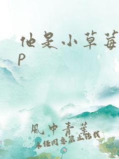 他是小草莓pop