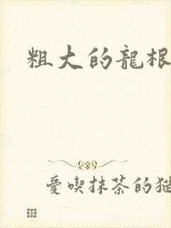 粗大的龙根